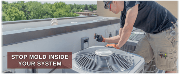 HVAC Mold Removal Plano TX